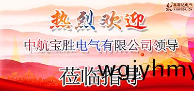 【鑫富(fu)達電氣】有(you)客遠方來，交流共成長——歡迎中航寶勝電氣有限公司領導蒞臨我司攷詧指導！